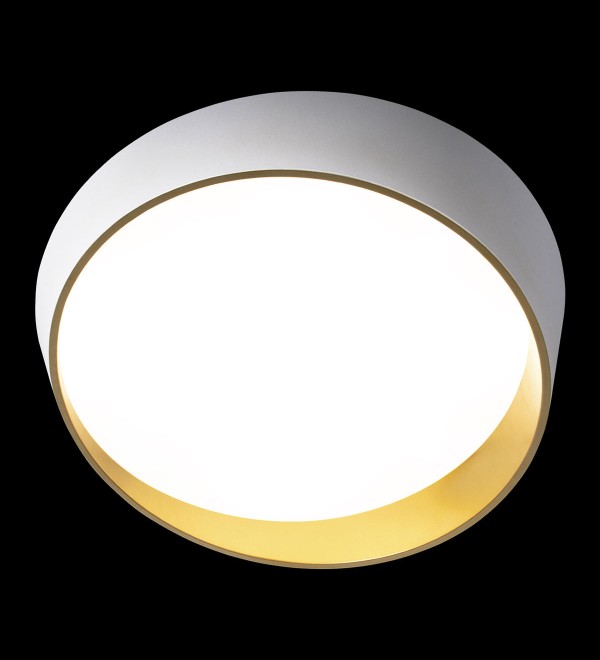 Потолочный светильник LOFT IT Coin 10199 White