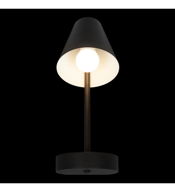 Настенный светильник LOFT IT Shelf 10216/1W Black