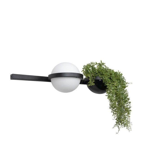Настенный светильник LOFT IT Jardin 10121W/A