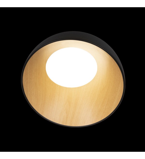 Потолочный светильник LOFT IT Egg 10197/350 Black
