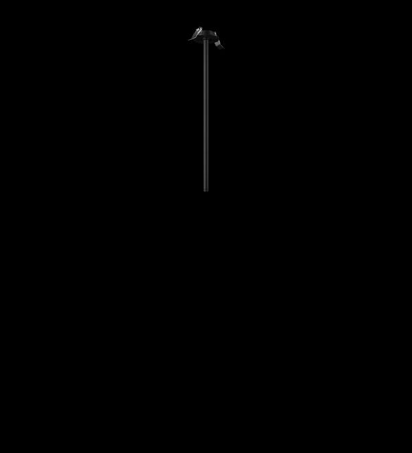 Потолочный светильник LOFT IT Cane 10359/500 Black