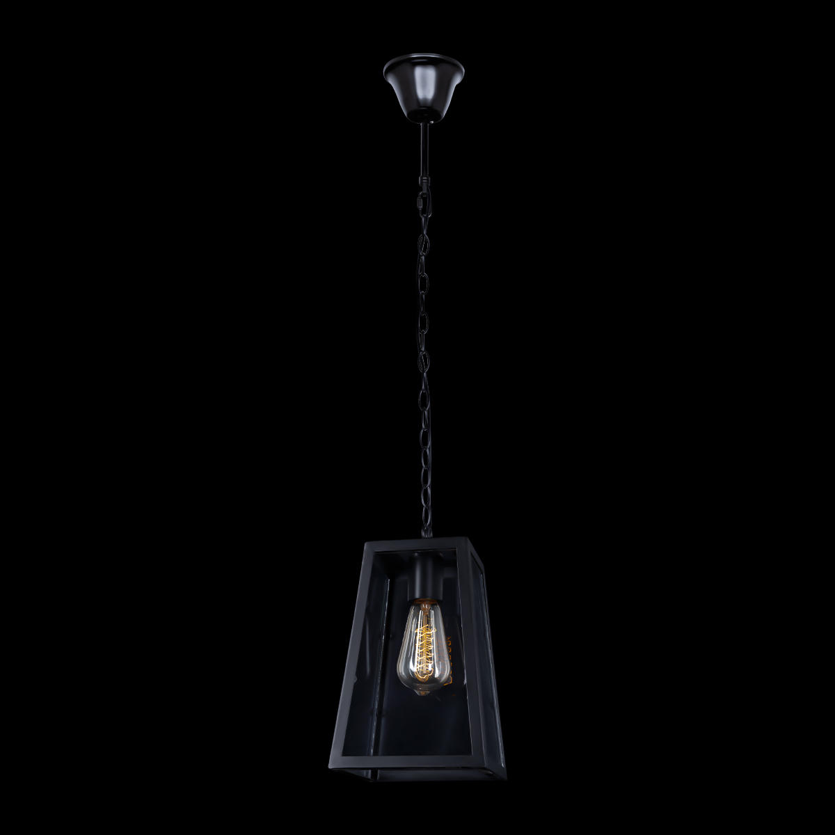 Подвесной светильник LOFT IT Modern filament LOFT1127