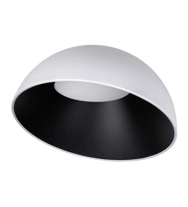 Потолочный светильник LOFT IT Egg 10197/500 WB