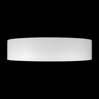 Потолочный светильник LOFT IT Coin 10202 WB