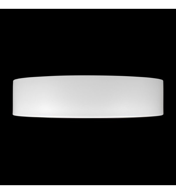Потолочный светильник LOFT IT Coin 10202 WB