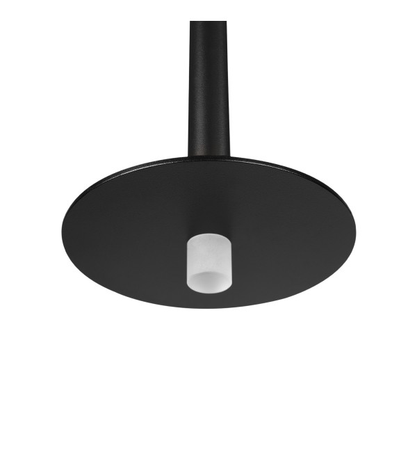 Подвесной светильник LOFT IT Reed 10358/830 Disk