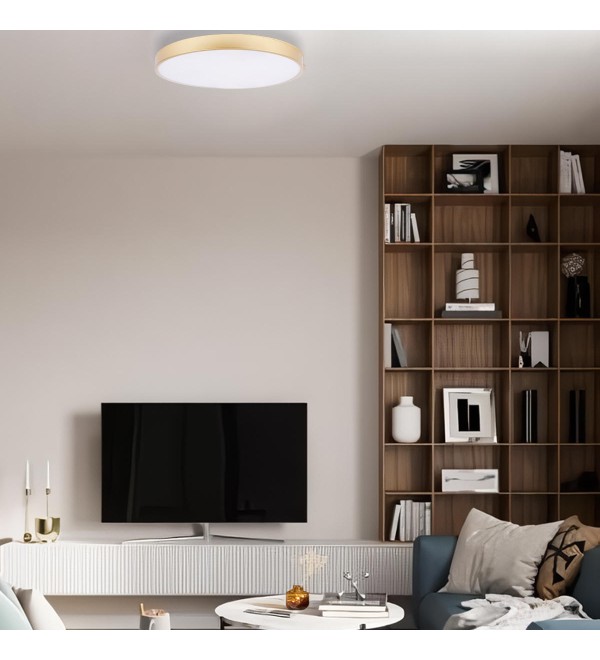 Потолочный светильник LOFT IT Flims 10228/A