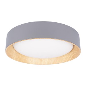 Потолочный светильник LOFT IT Coin 10202 Grey