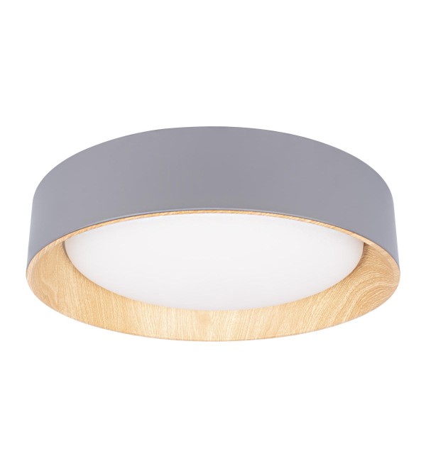 Потолочный светильник LOFT IT Coin 10202 Grey