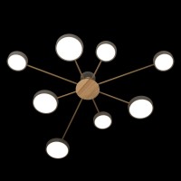 Потолочный светильник LOFT IT Sunrise 10316/8 Grey