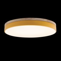 Потолочный светильник LOFT IT Axel 10001/36 Yellow