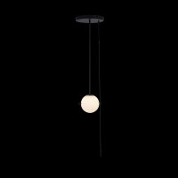 Светильник на штанге LOFT IT Signal 10029PS Black