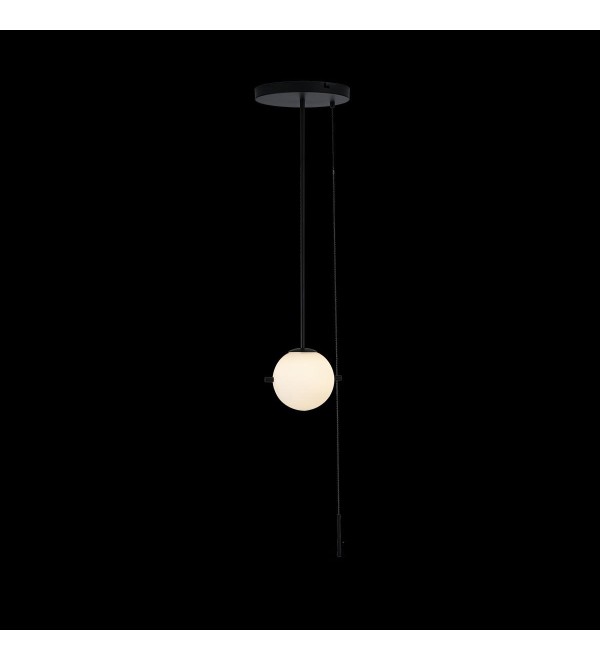 Светильник на штанге LOFT IT Signal 10029PS Black