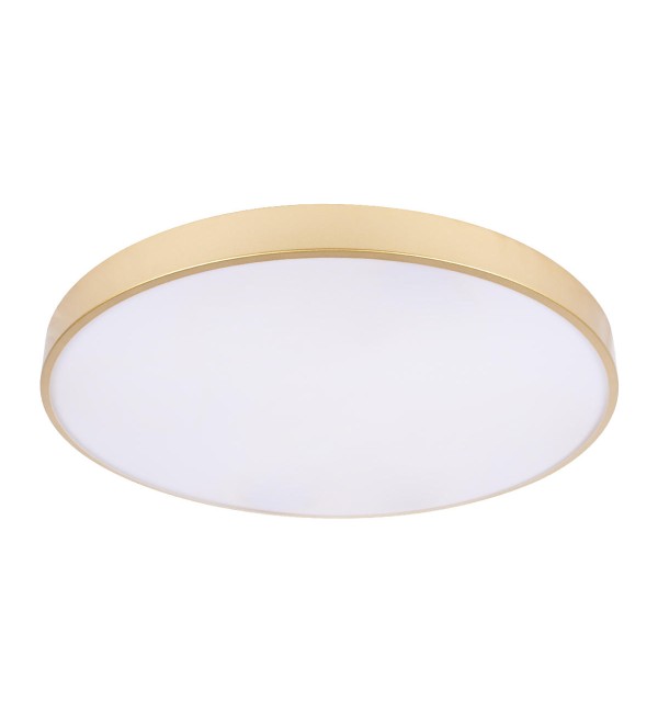 Потолочный светильник LOFT IT Flims 10228/B