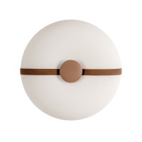 Потолочный светильник LOFT IT Bolina 10473