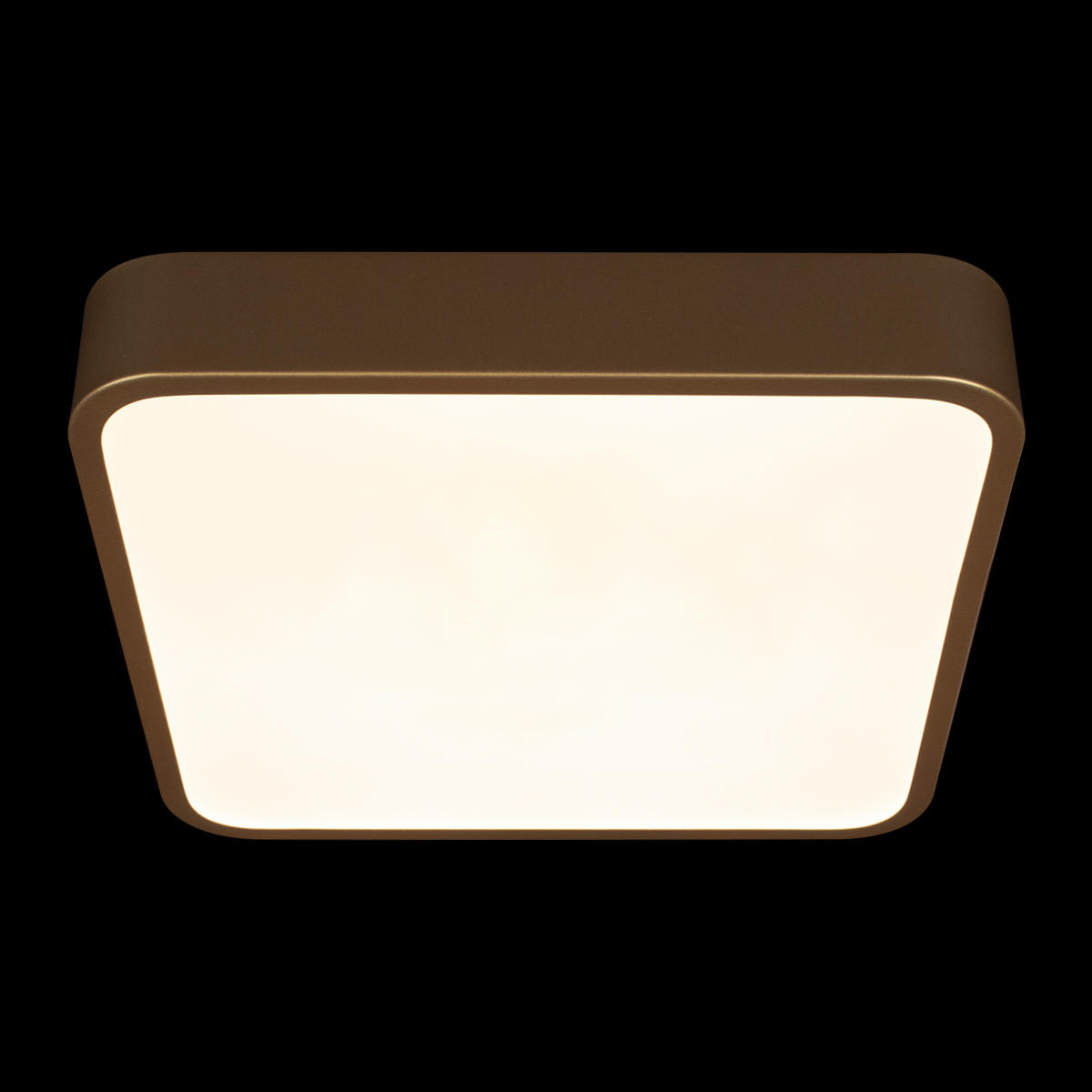 Потолочный светильник LOFT IT Flims 10228/C