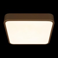 Потолочный светильник LOFT IT Flims 10228/C