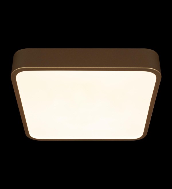 Потолочный светильник LOFT IT Flims 10228/C