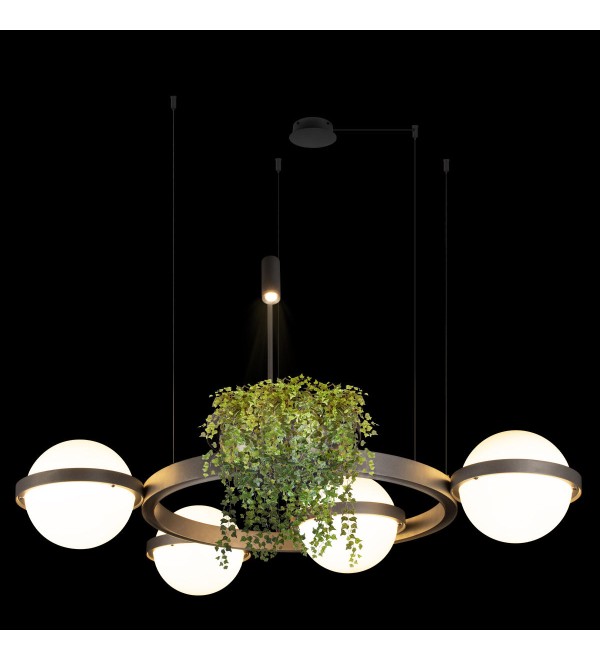 Подвесной светильник LOFT IT Jardin 10121/4 Dark grey