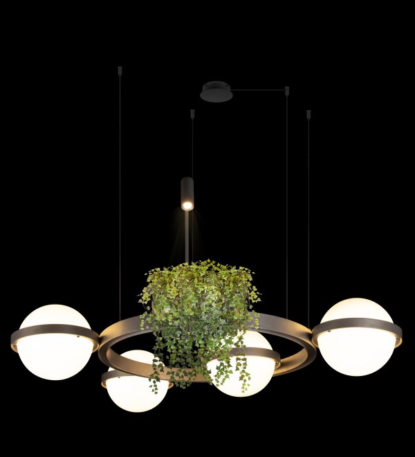 Подвесной светильник LOFT IT Jardin 10121/4 Dark grey