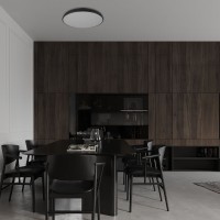 Потолочный светильник LOFT IT Dime 10371 Black