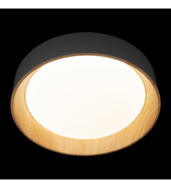 Потолочный светильник LOFT IT Coin 10202 Grey
