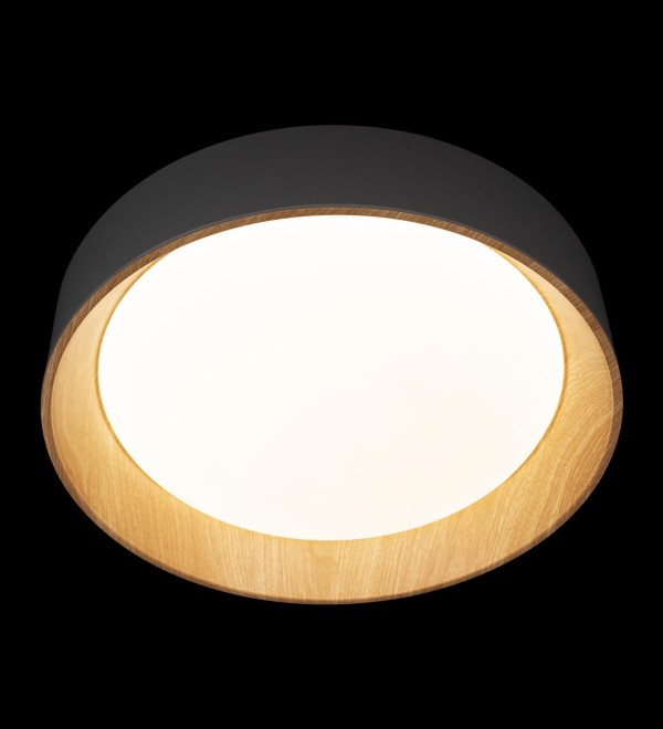 Потолочный светильник LOFT IT Coin 10202 Grey