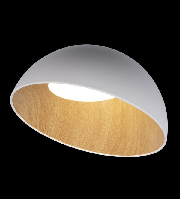 Потолочный светильник LOFT IT Egg 10197/500 White