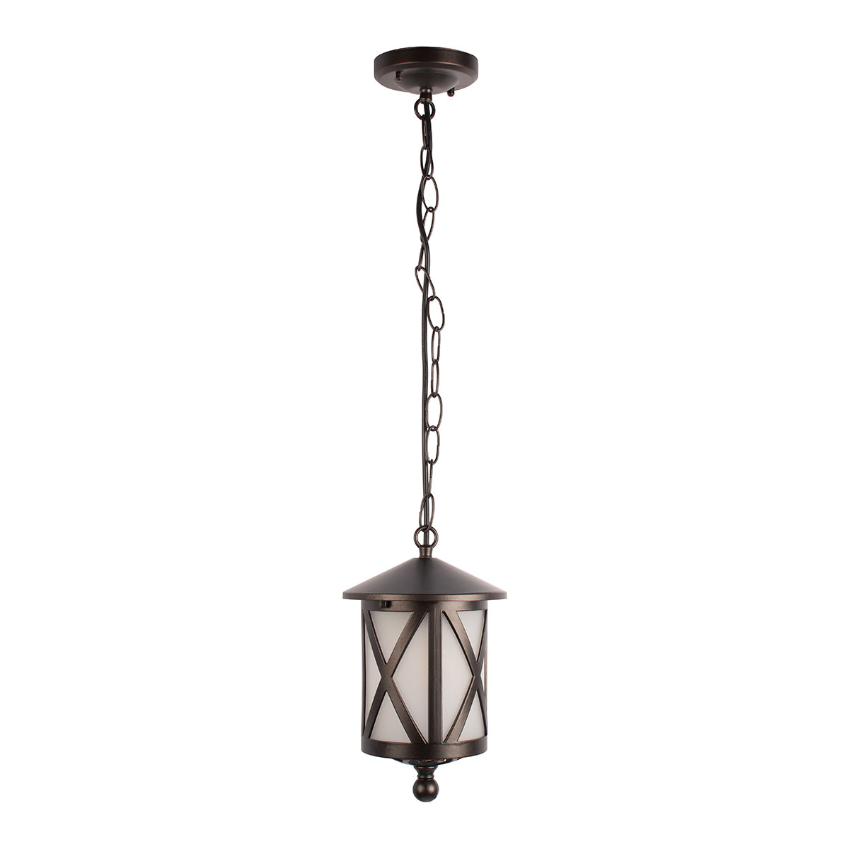 Уличный подвесной светильник LOFT IT Ravenna 100016P