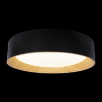 Потолочный светильник LOFT IT Coin 10202 Black