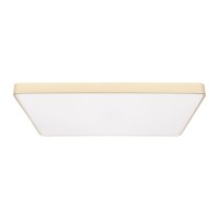 Потолочный светильник LOFT IT Flims 10228/E