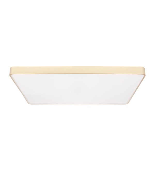 Потолочный светильник LOFT IT Flims 10228/E