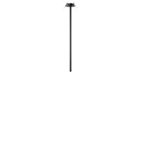 Потолочный светильник LOFT IT Cane 10359/600 Black