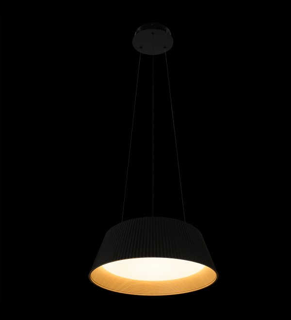 Подвесной светильник LOFT IT Evans 10224P Black