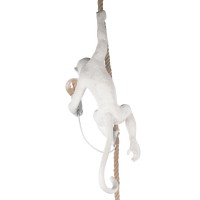 Подвесной светильник LOFT IT Monkey 10314P