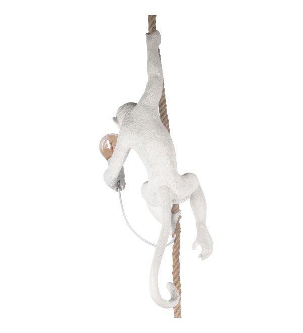 Подвесной светильник LOFT IT Monkey 10314P