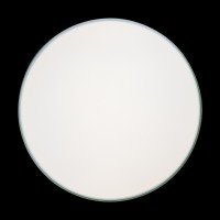 Потолочный светильник LOFT IT Axel 10001/36 Green
