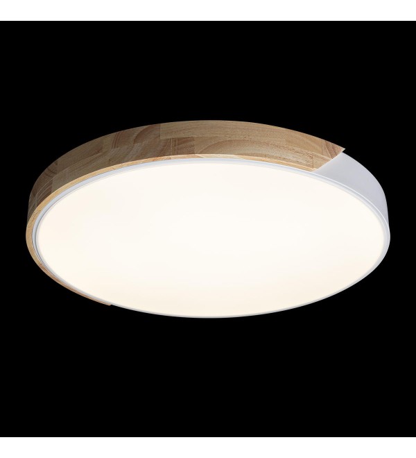 Потолочный светильник LOFT IT Axel 10004/36 White