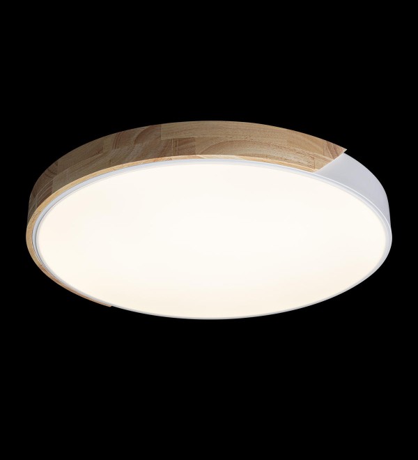 Потолочный светильник LOFT IT Axel 10004/36 White