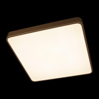 Потолочный светильник LOFT IT Flims 10228/D