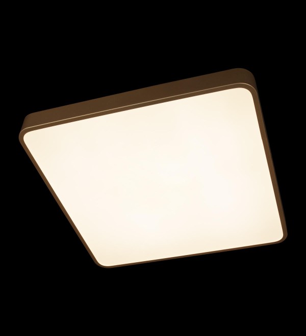 Потолочный светильник LOFT IT Flims 10228/D