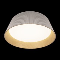 Потолочный светильник LOFT IT Evans 10224 White