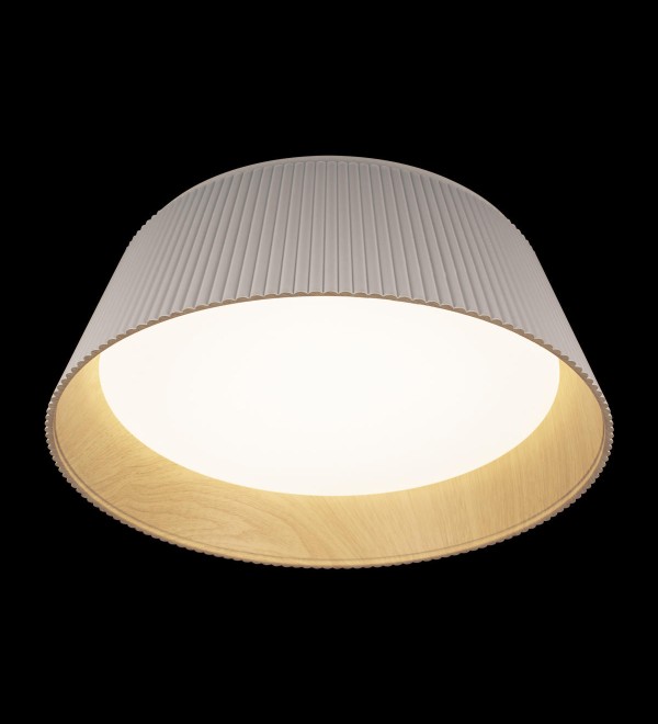 Потолочный светильник LOFT IT Evans 10224 White