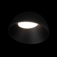 Потолочный светильник LOFT IT Egg 10197/350 BB