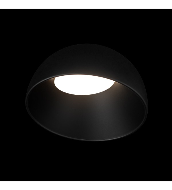 Потолочный светильник LOFT IT Egg 10197/350 BB