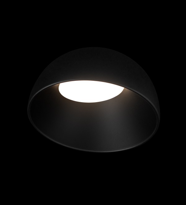 Потолочный светильник LOFT IT Egg 10197/350 BB