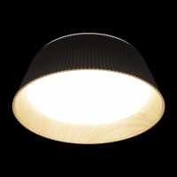 Потолочный светильник LOFT IT Evans 10224 Black
