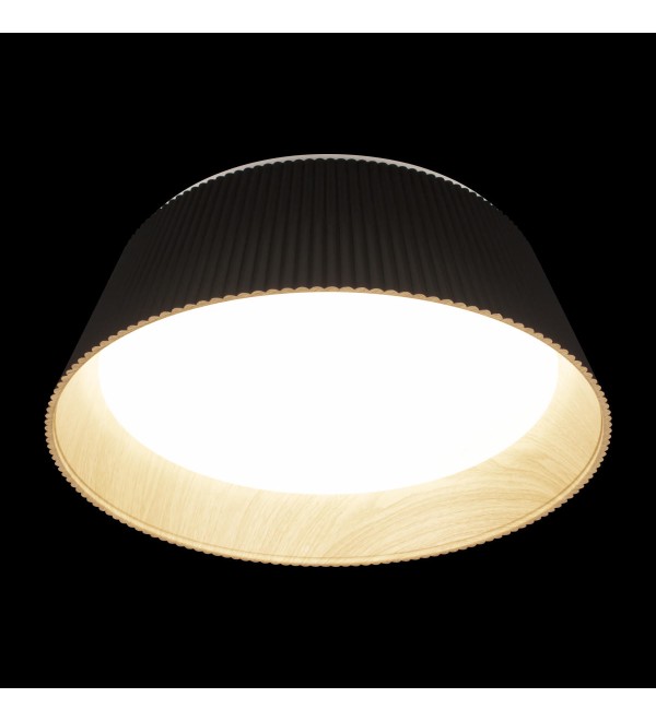 Потолочный светильник LOFT IT Evans 10224 Black