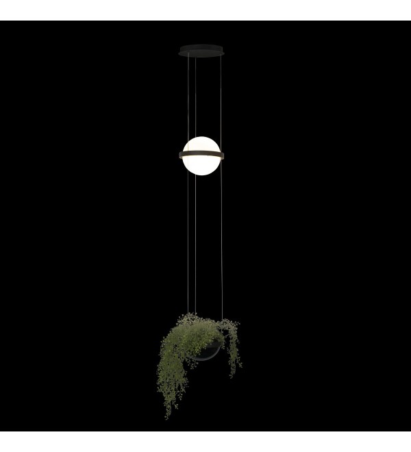 Подвесной светильник LOFT IT Jardin 10121/B