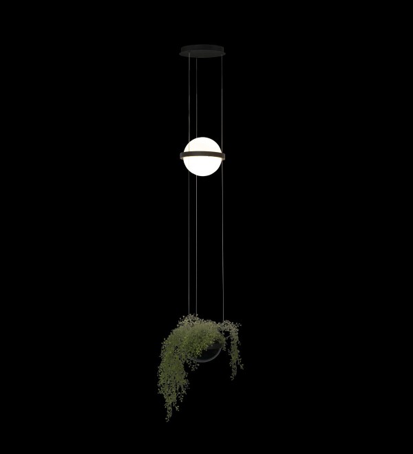 Подвесной светильник LOFT IT Jardin 10121/B